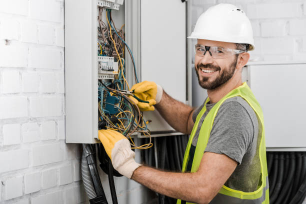 Best Electric Panel Repair  in Mohave Valley, AZ
